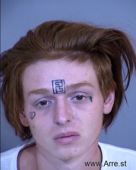 Michael Ryan Burns Mugshot