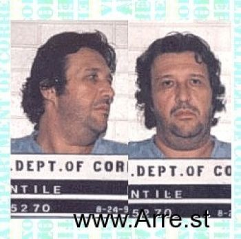 Michael  Gentile Mugshot