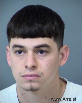 Michael Valentin0 Luna Mugshot