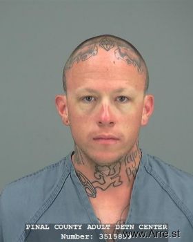 Michael  Palmer Mugshot