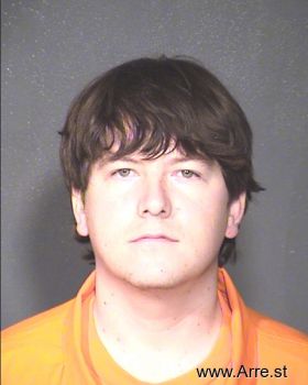 Michael W Snyder Mugshot