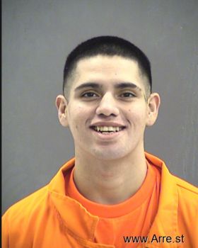 Michael I. Torres Mugshot