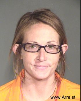 Michelle L Barr Mugshot