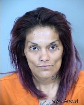 Michelle Ann Barraza Mugshot