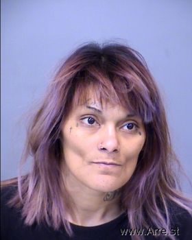 Michelle Ann Barraza Mugshot