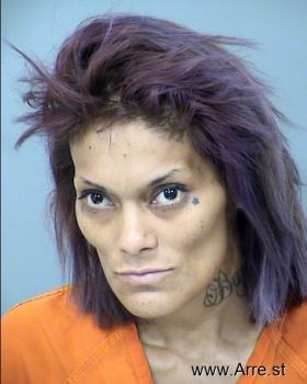 Michelle Ann Barraza Mugshot