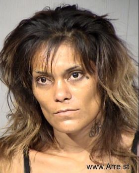 Michelle Ann Barraza Mugshot