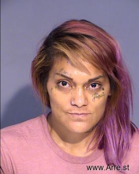 Michelle Ann Barraza Mugshot