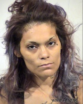 Michelle Ann Barraza Mugshot