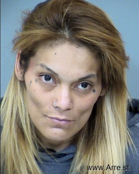 Michelle Ann Barraza Mugshot