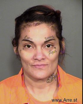 Michelle A. Barraza Mugshot