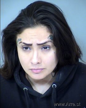 Michelle Jazmin Garcia Mugshot