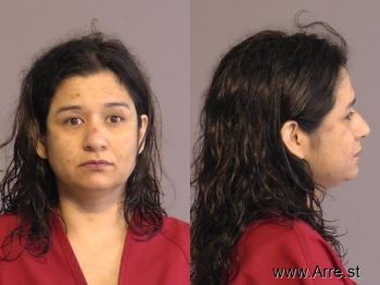 Michelle Lee Garcia Mugshot