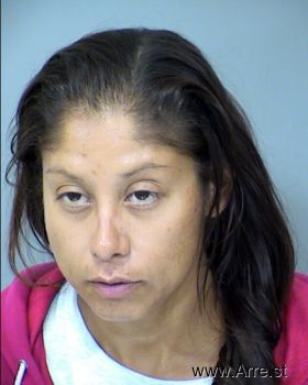 Michelle Kay Sandoval Mugshot