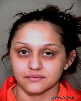 Michelle J Vasquez Mugshot