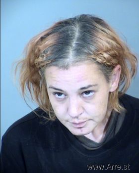 Michelle Renee Wheeler Mugshot