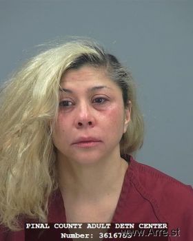 Michelle  Williams Mugshot