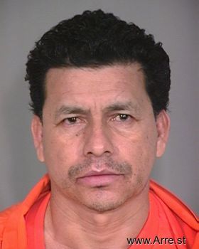 Miguel  Angel-castro Mugshot