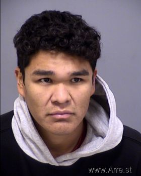 Miguel Alejandro Castillo Mugshot