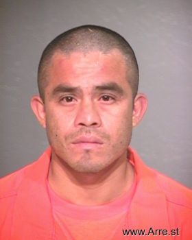 Miguel  Flores-hernandez Mugshot