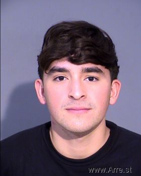 Miguel Angel Mendoza Castro Mugshot