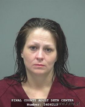 Misty  Ferguson Mugshot