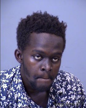 Mohamed Ali Ahmed Mugshot