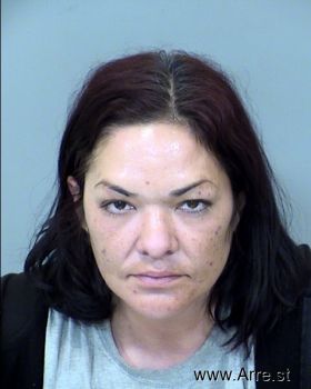 Monica Rae Castillo Mugshot