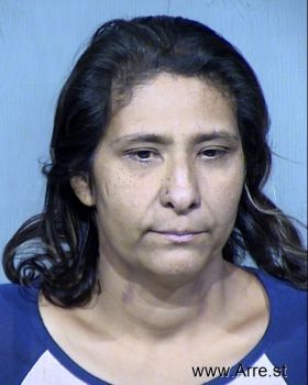 Monica Perez Castillo Mugshot