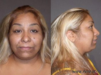 Monica Frances Hernandez Mugshot