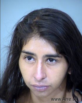 Monica Sarahi Pena Mugshot