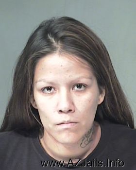 Nicole Marie Jenkins Mugshot