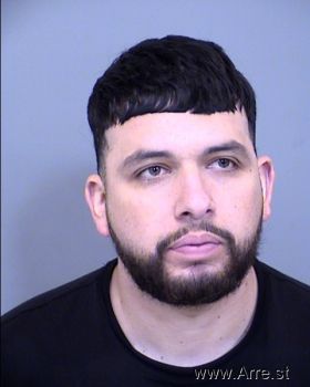 Nelson  Lopez Ruiz Mugshot