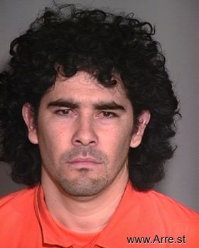 Nelson  Perez-oneill Mugshot