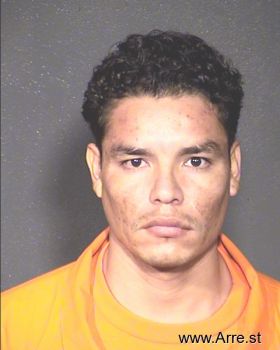 Noel A Acosta-romero Mugshot