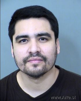 Noel  Alvarado-armenta Mugshot