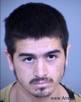 Noel G Hernandez-garza Mugshot