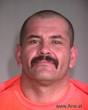 Octavio  Ruiz-villafana Mugshot