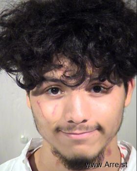 Oscar  Alvarado Mugshot