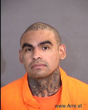 Patrick M Little Bull Mugshot