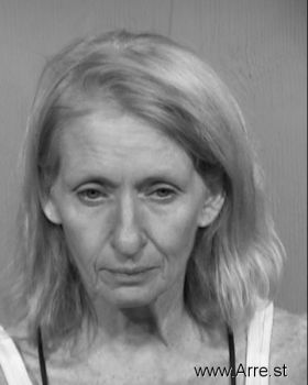 Paula Michele Dyer Mugshot