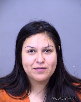 Paulina Amparo Gutierrez Mugshot