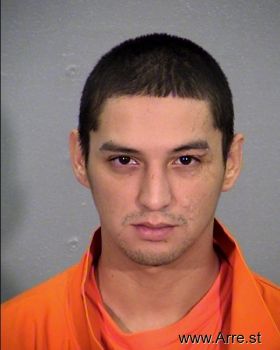 Paulo  Diaz Mugshot