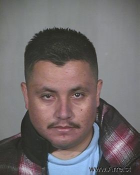 Pedro  Arellano Mugshot