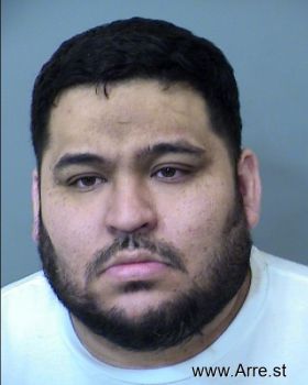 Pedro  Ibarra Valenzuela Mugshot