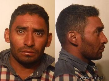 Pedro  Martinez-castro Mugshot