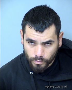 Pete Leyba Sanchez Mugshot