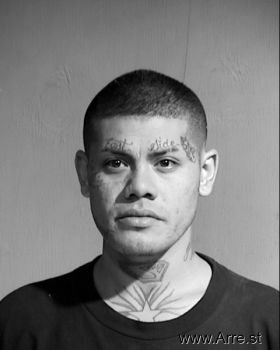 Raul  Robles Mugshot