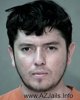 Ricardo  Contreras Brambil Mugshot