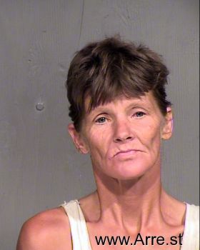 Robin Ellen Wheeler Mugshot